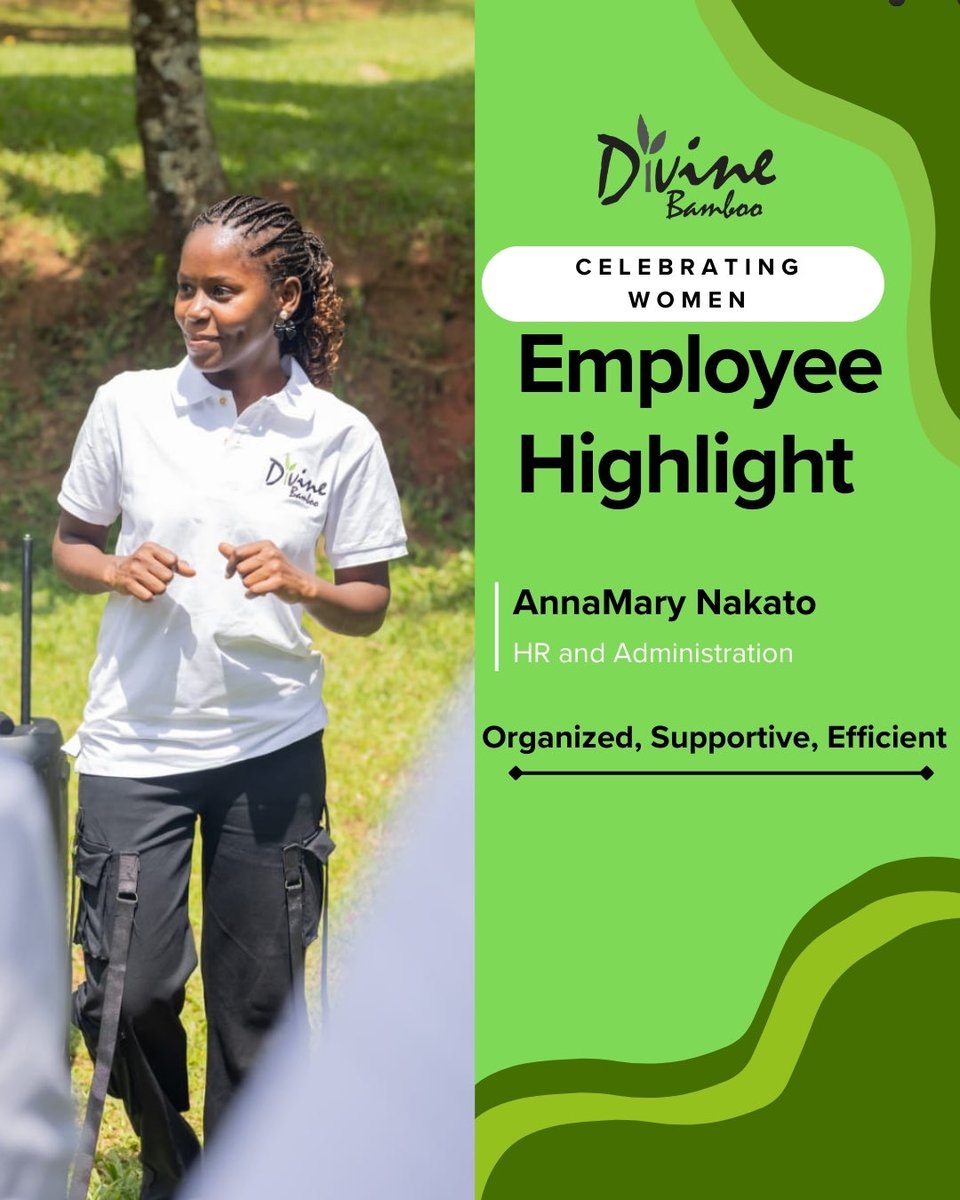 Divine Bamboo tweet media