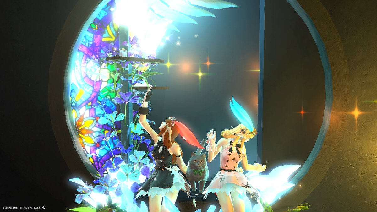 Alyusha＊猫の雪宿＊🌲🐈🍃 tweet media