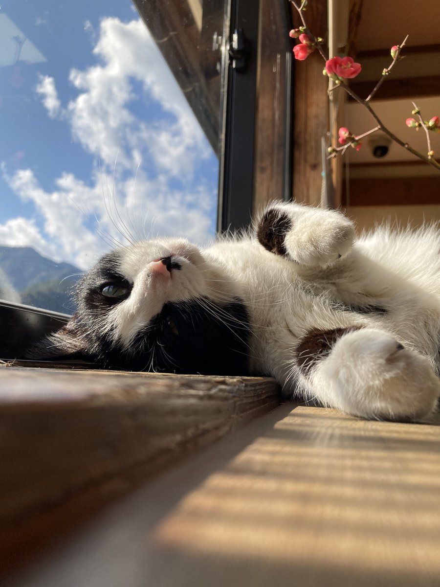 chan😊🐾 tweet media