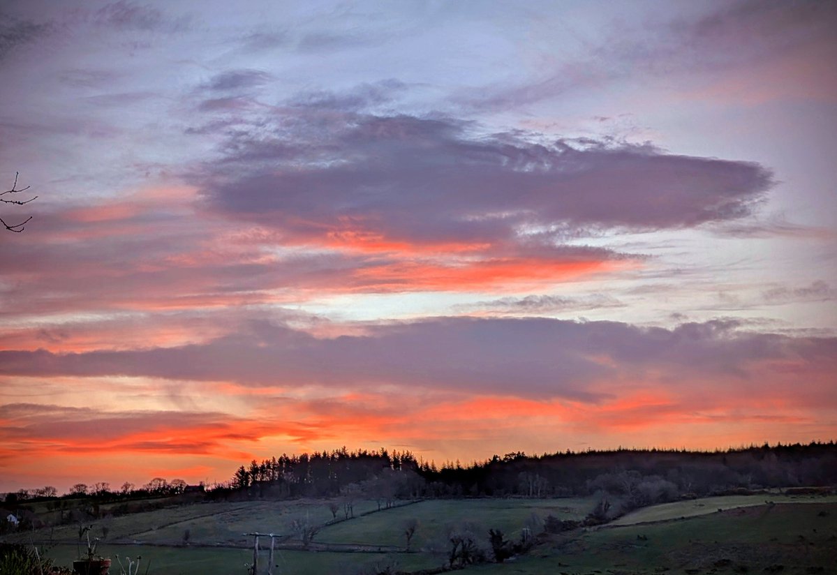 Anne Kelly ⛔NO DMs⛔ unless I know or follow you. tweet media