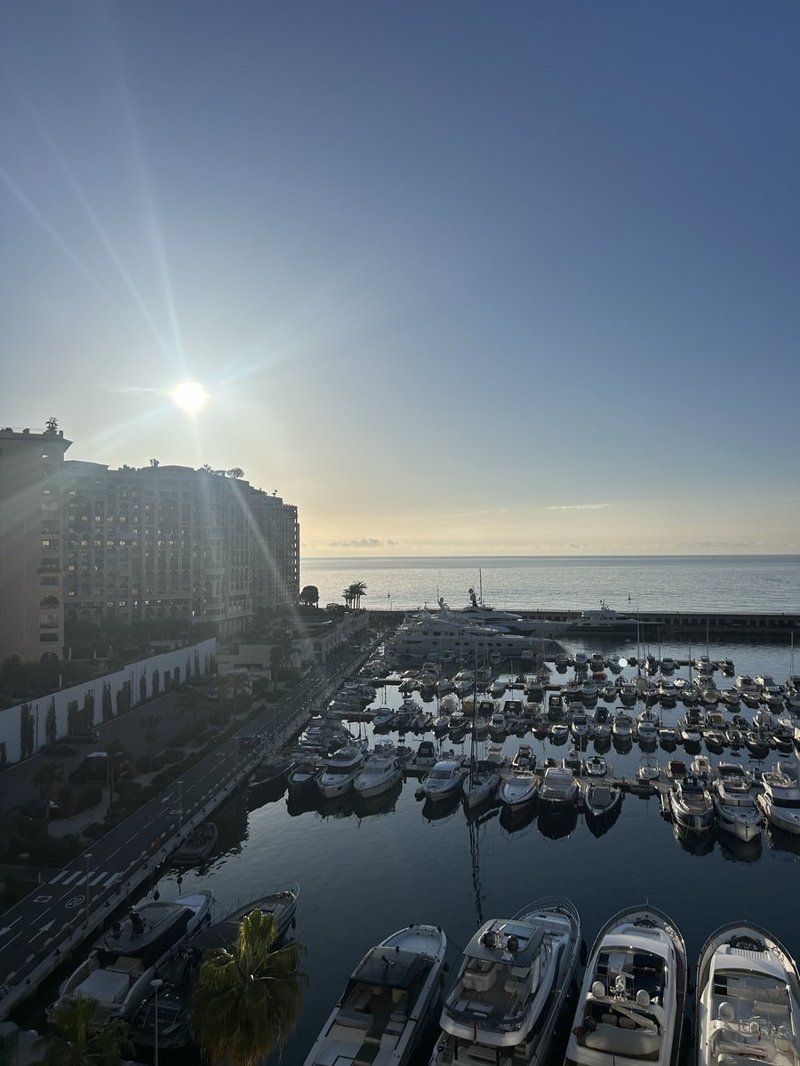 Royale Linea tweet media