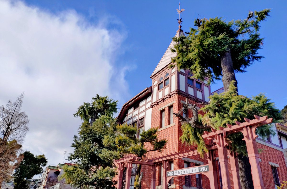 OFT STORE@ペット用品店【公式】 tweet media