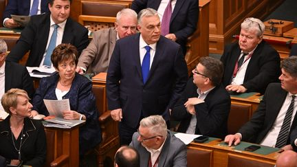 🇫🇷 LouiseFrance75 🇫🇷 🕎 tweet media