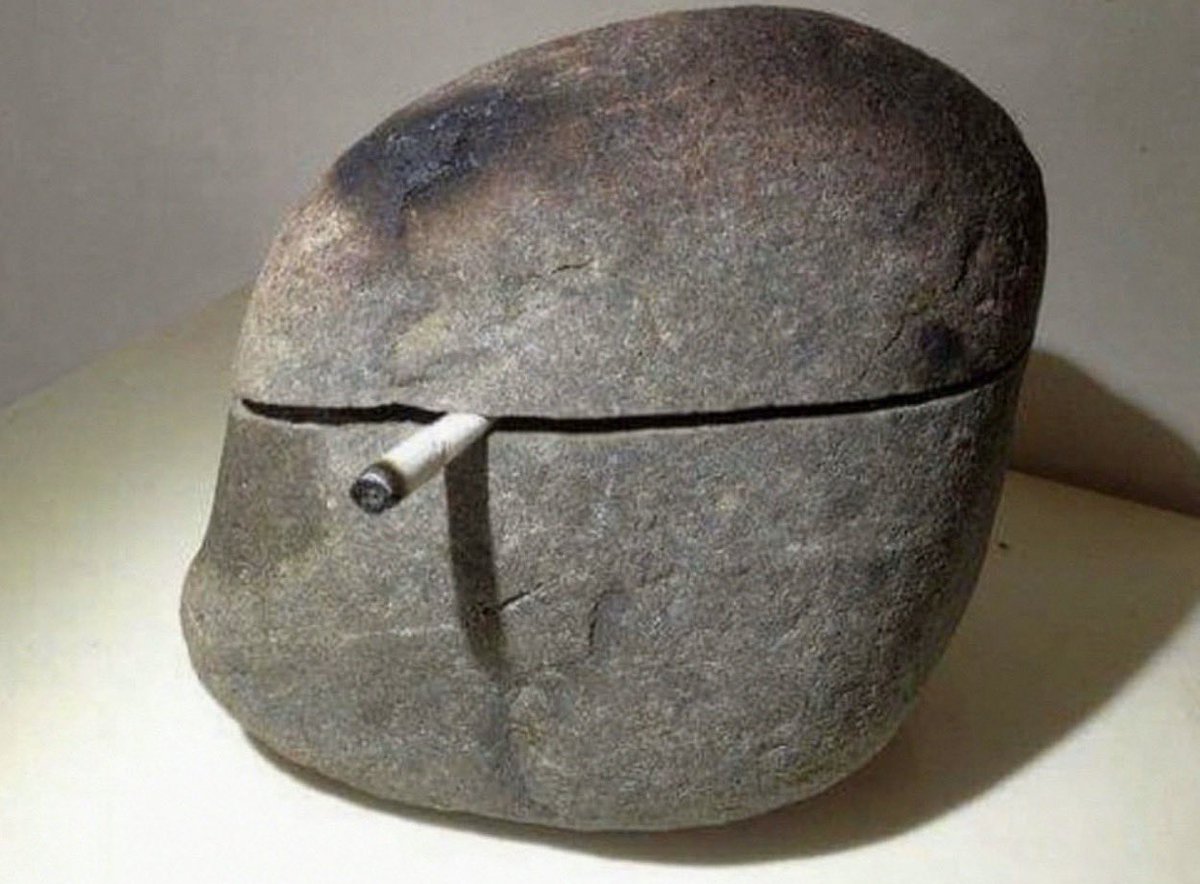 insane poses tweet media