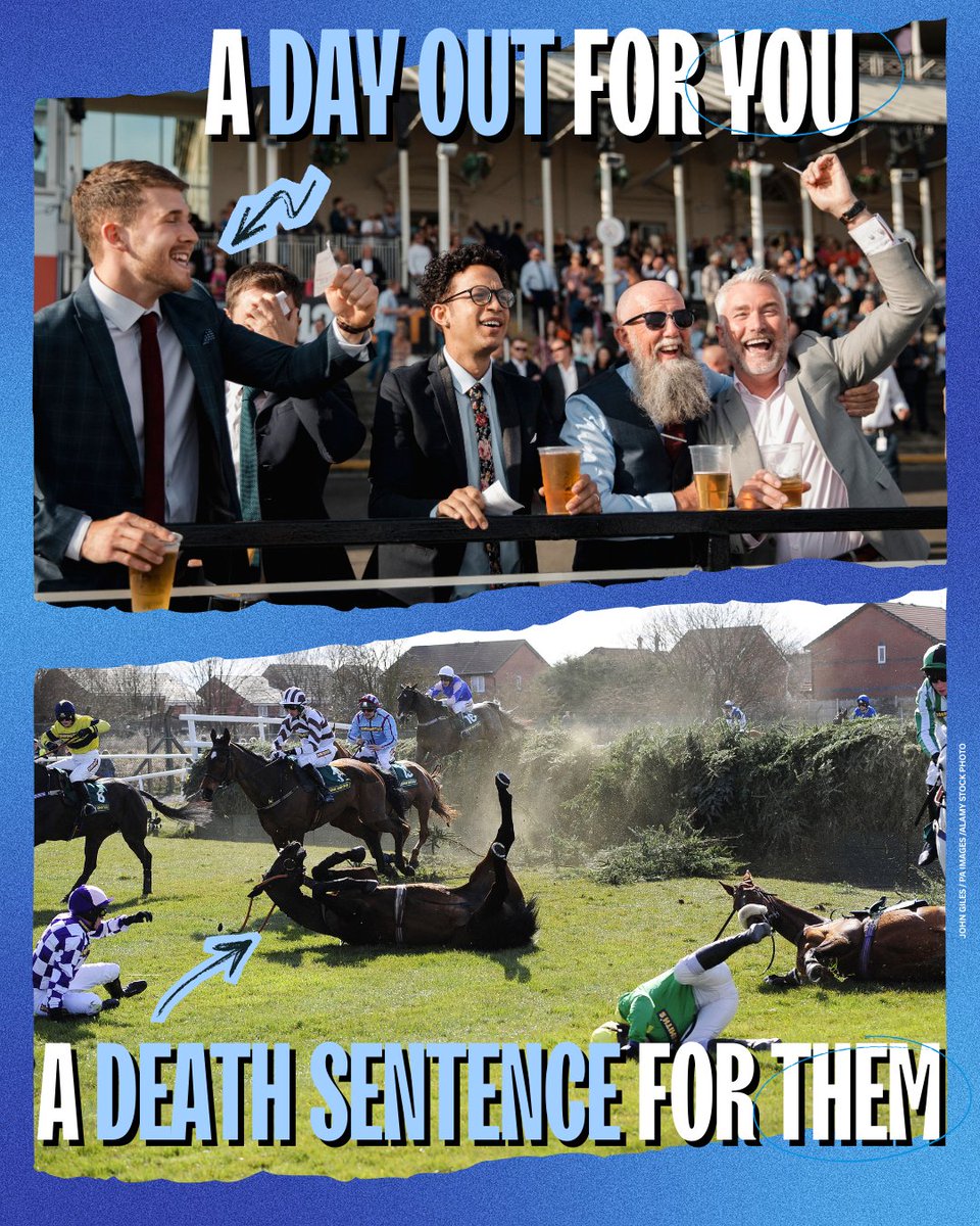 Behind the buzz of betting at Cheltenham Festival is a grim pattern: horses pushed to exhaustion, catastrophic falls, and lives ended on the track. Stop betting on their lives. #CheltenhamFestival