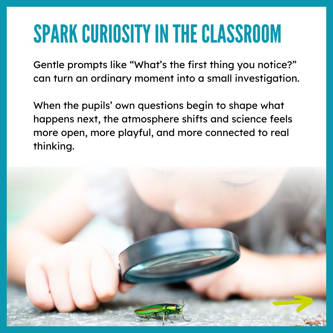ukteachofficial's tweet photo. Are your pupils asking “why?” again? Good. That’s the lesson. 🔍
Curiosity dominates.

#BritishScienceWeek2026 https://t.co/AA5yPUJgcM