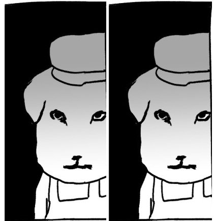 신입      /       5년차