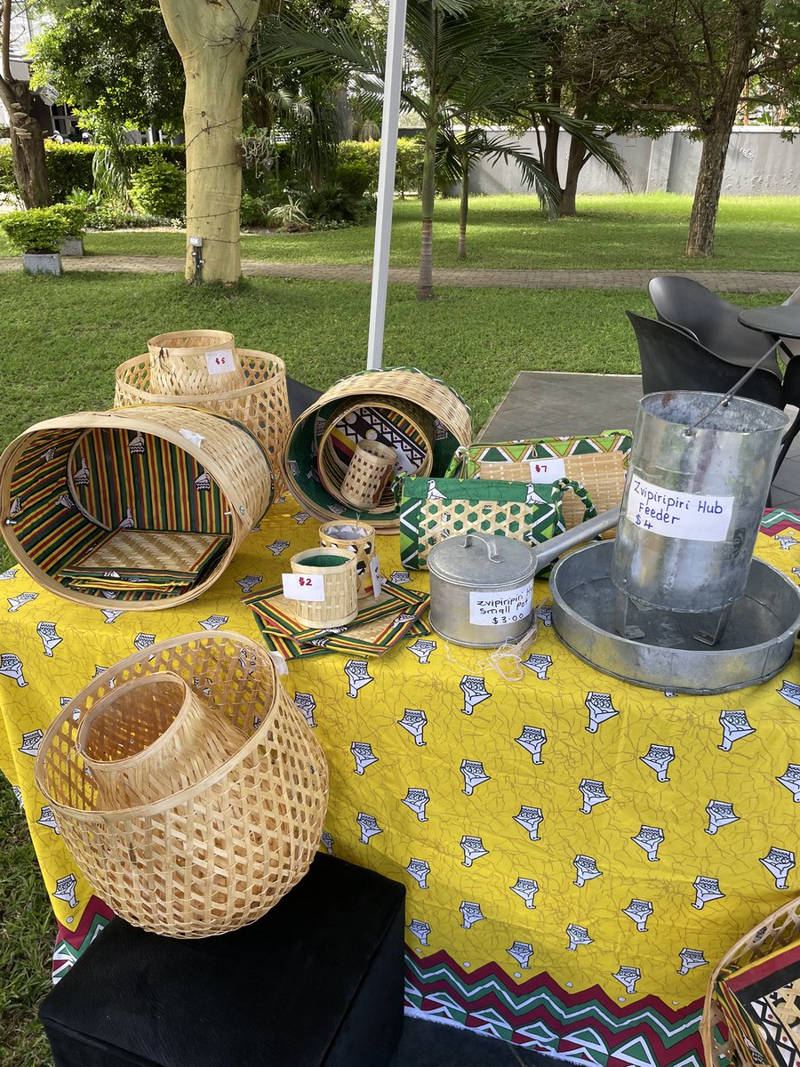 AbbotJo's tweet image. Getting warmed up for a day of learning on the @MoPSEZim &amp;amp; @UKinZimbabwe #TEACH programme, supporting schools, pupils &amp;amp; teaching across 🇿🇼 
with partners @UNICEFZIMBABWE @thinkequalorguk @PlanUK @edtvoice