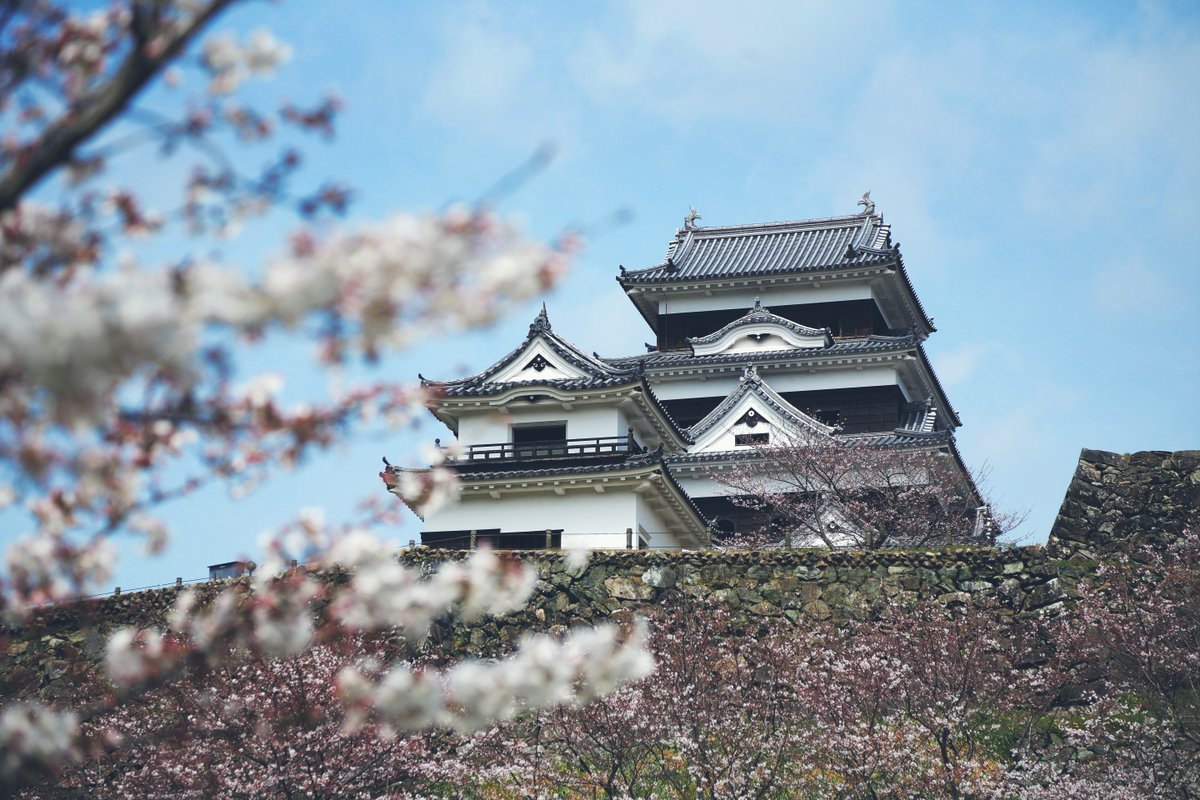 JapanTravel's tweet image. This small castle town in #Ehime feels frozen in time 🏯

Ozu sits along the Hijikawa River, with a restored wooden castle overlooking the water.

River views, merchant streets, and preserved townhouses are all within walking distance!

➡️ Read more: en.japantravel.com/ehime/ozu

#Ad