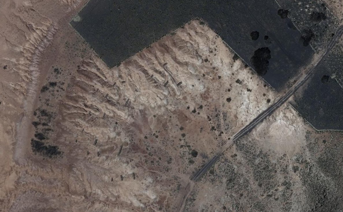 Medio Ambiente Lanzarote tweet media