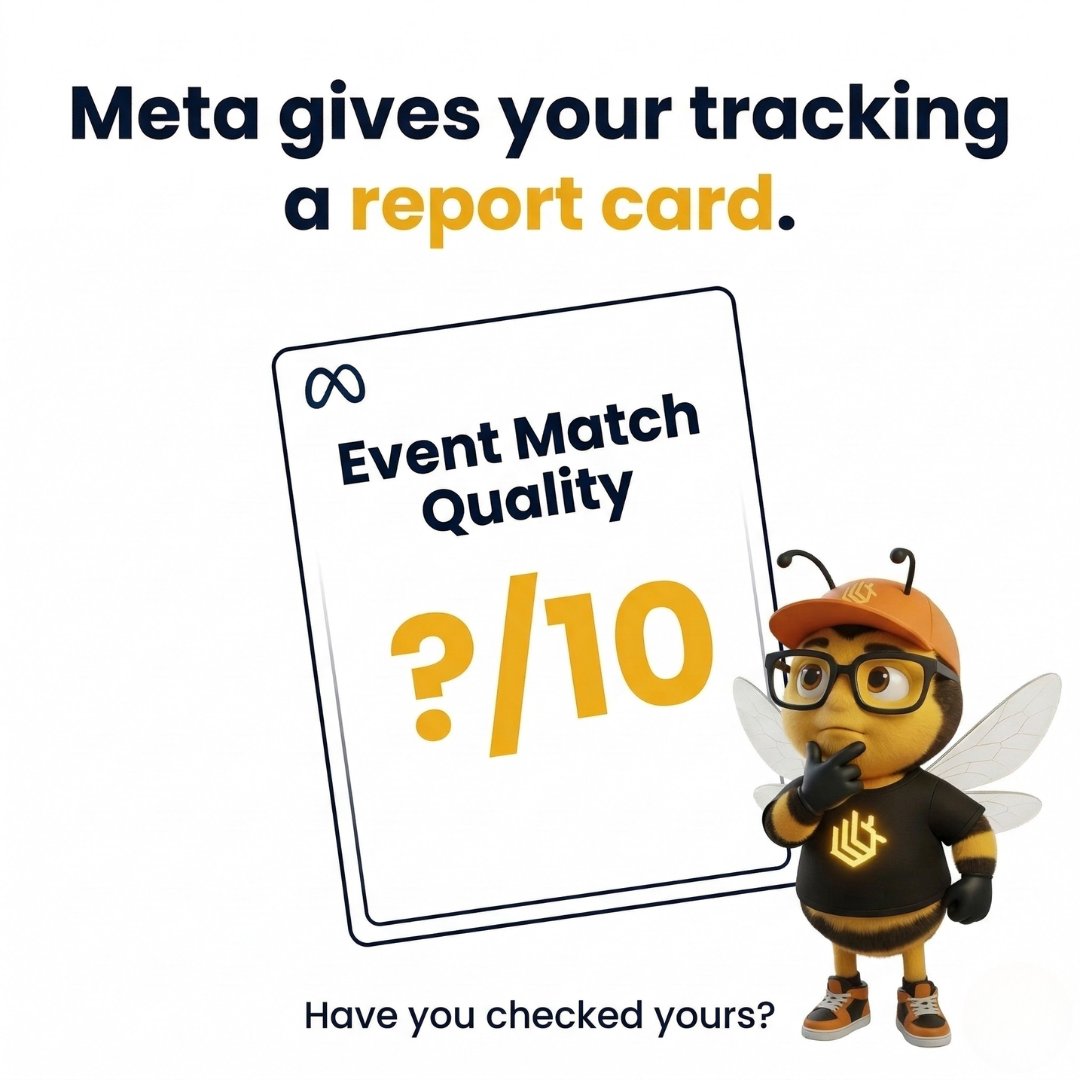 TrackBee 🐝 tweet media