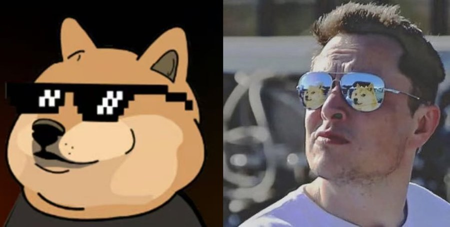 Dank Doge (@DankDogeDank) / Posts / X