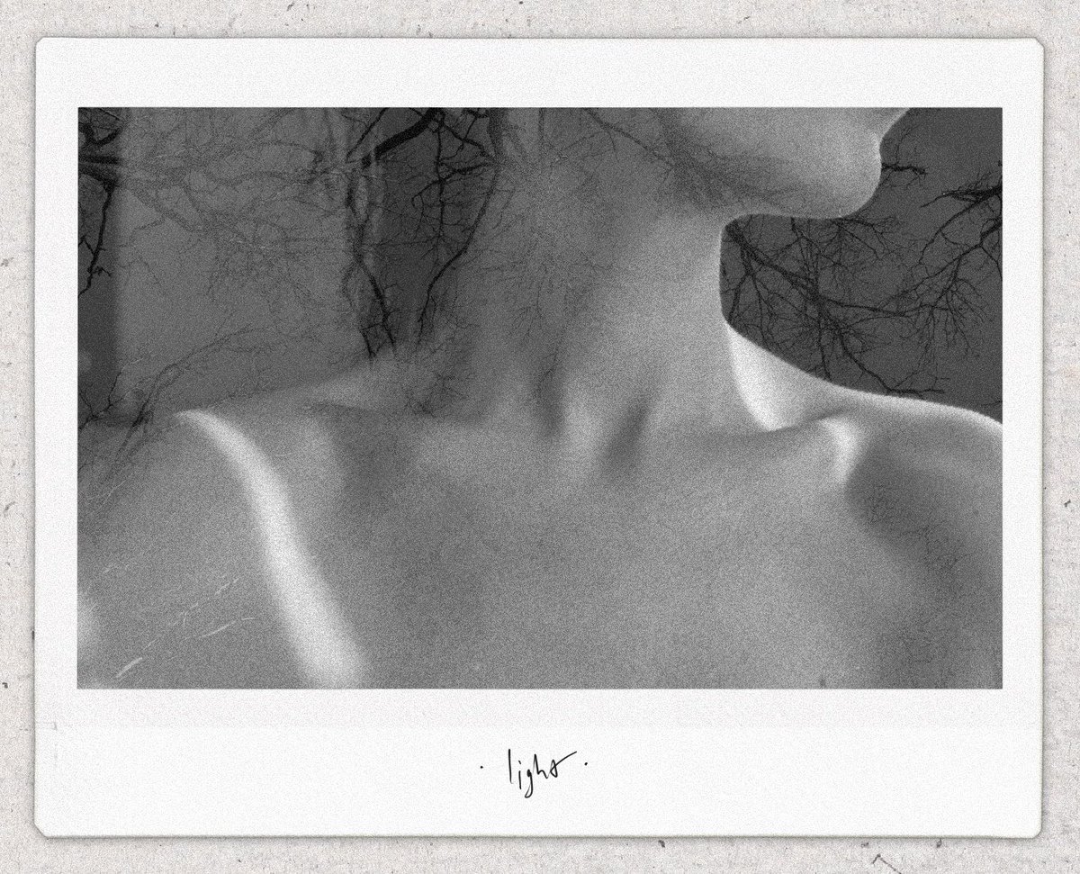 Sofa 🌙 tweet media