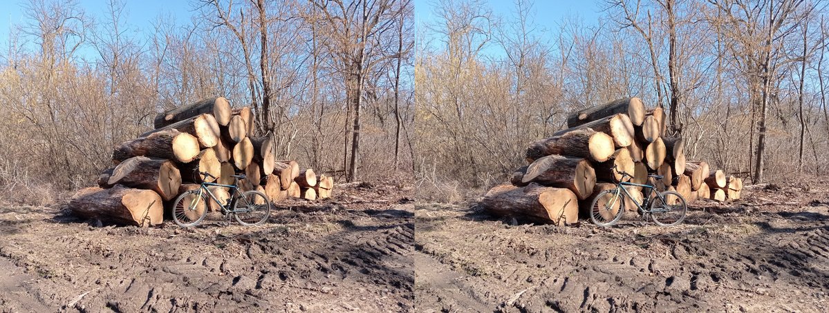 Omar Abu Leila tweet media