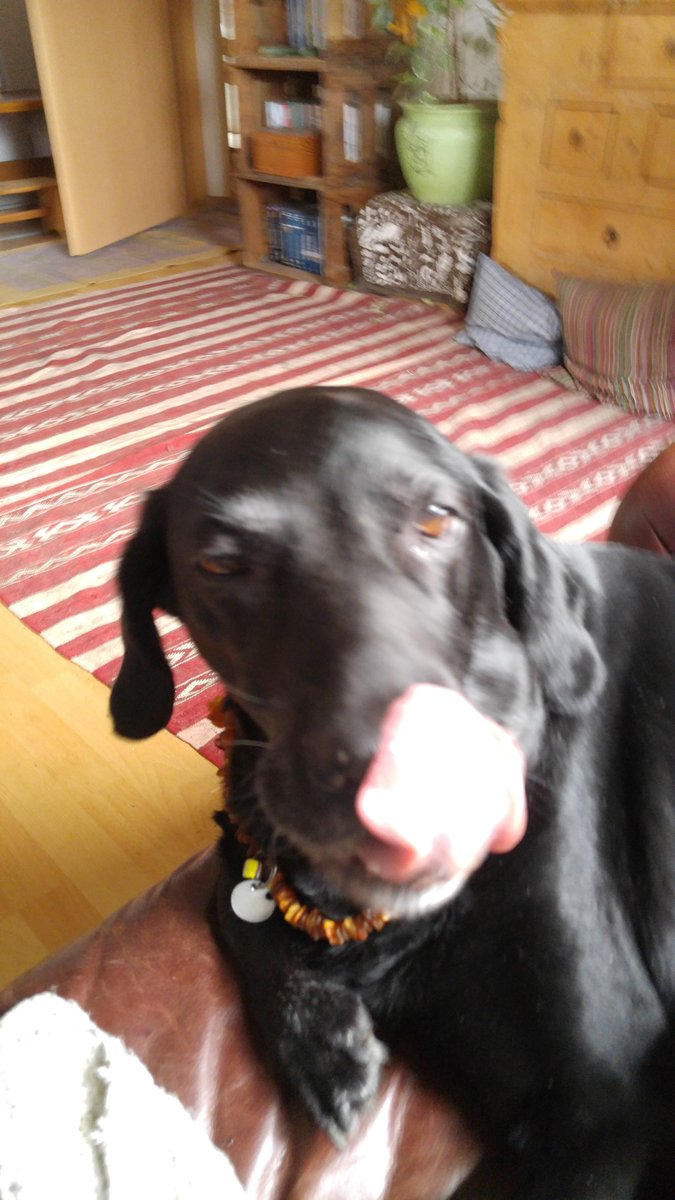 Heike Thieme tweet media