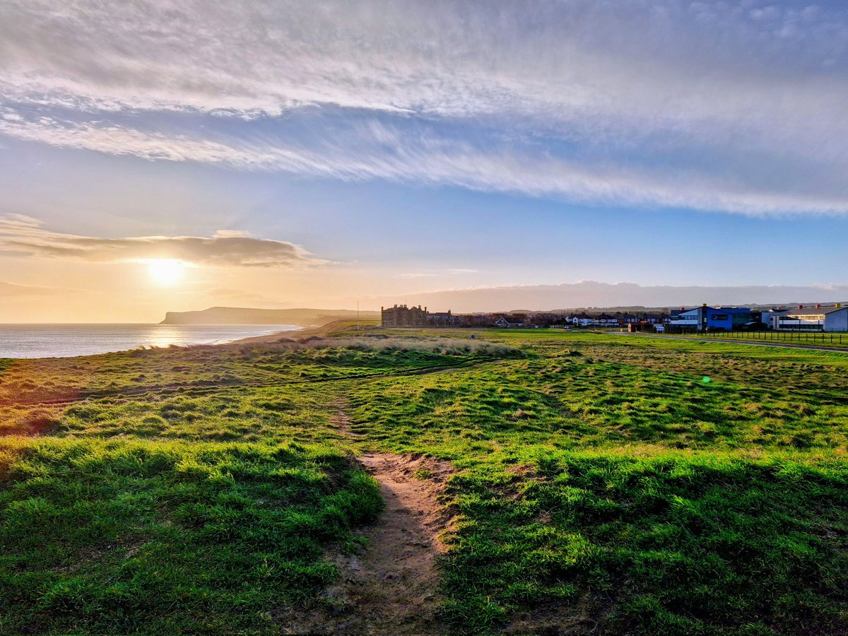 SCANNERMAN tweet media