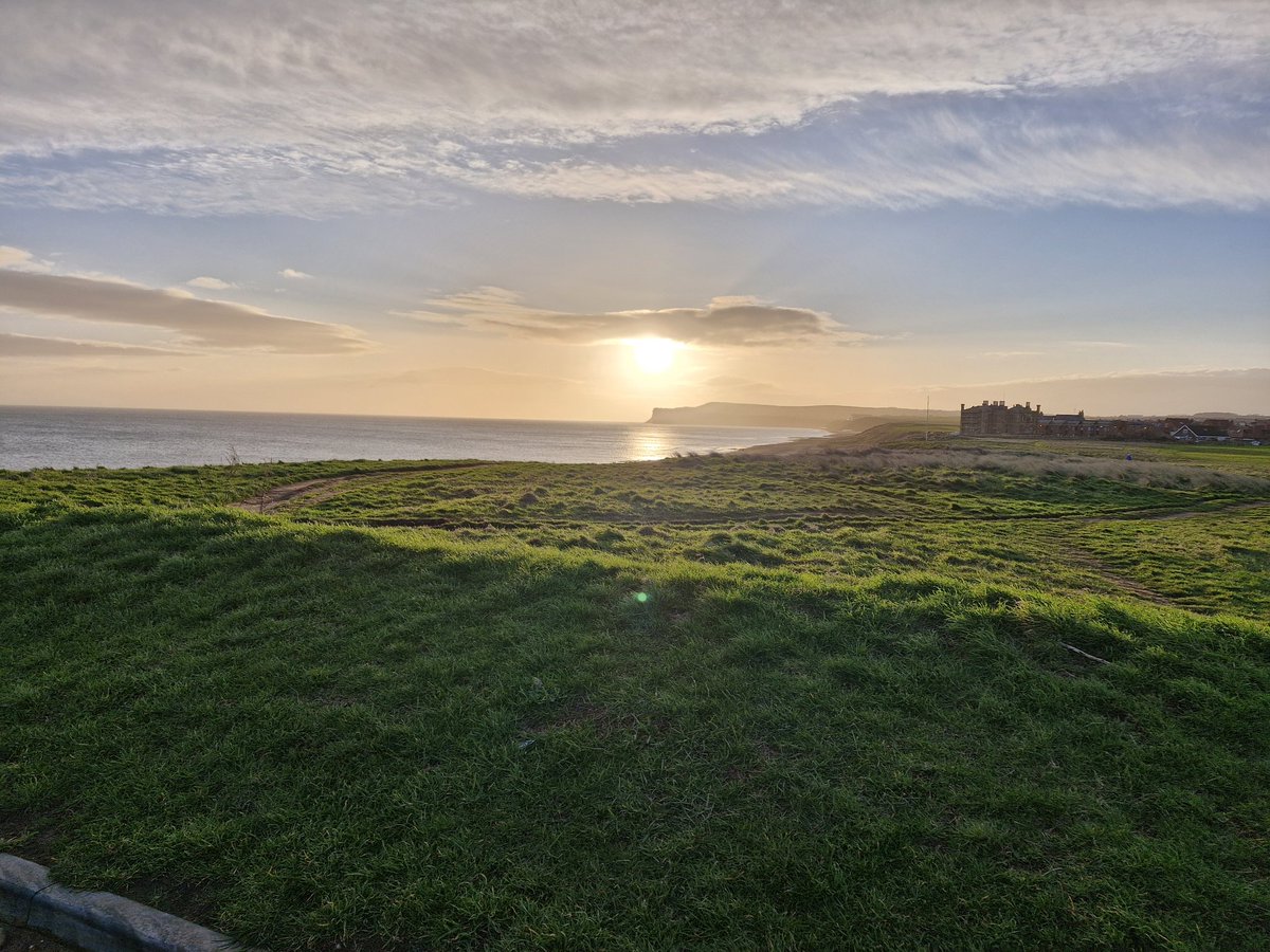 SCANNERMAN tweet media