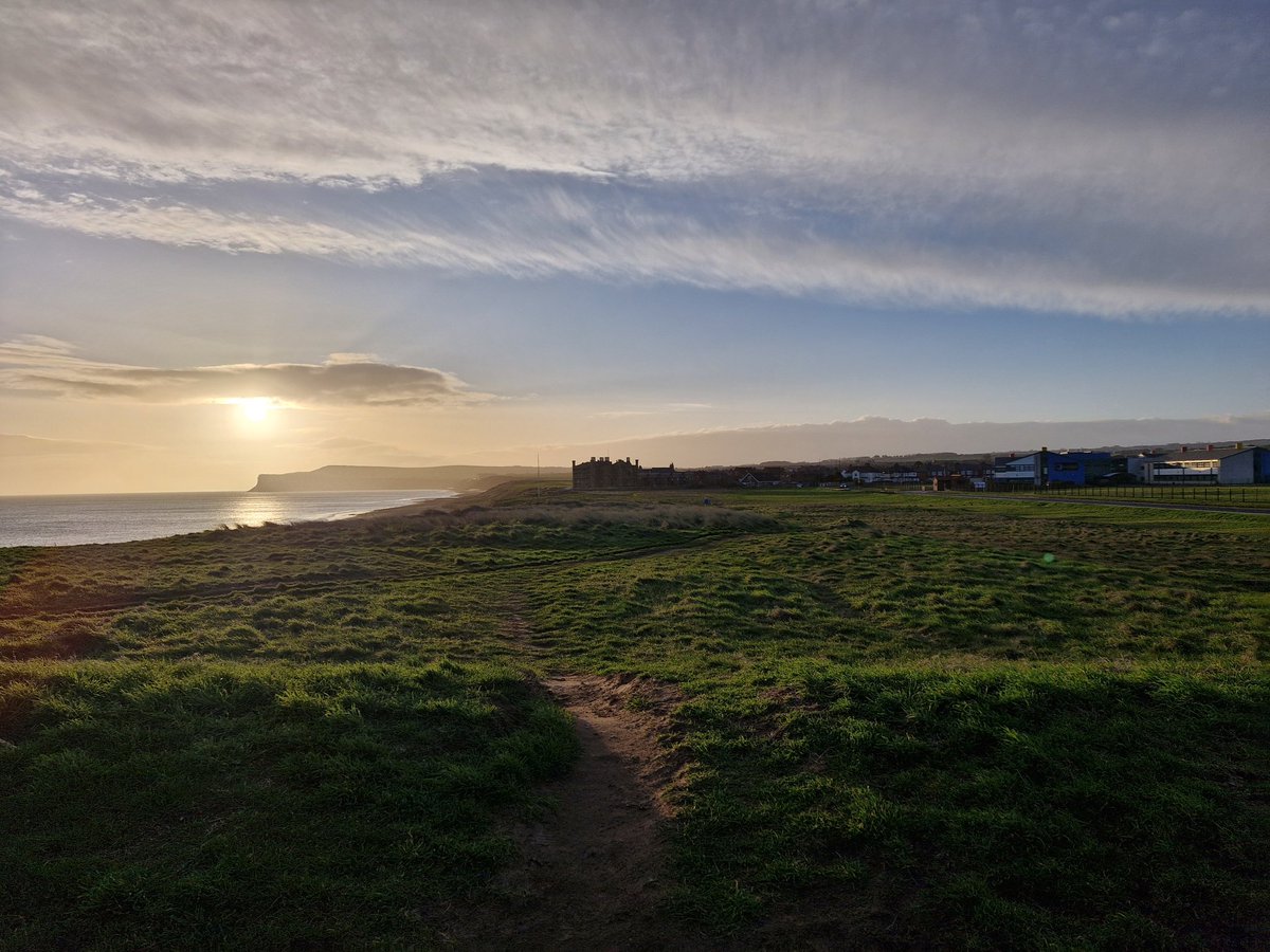 SCANNERMAN tweet media