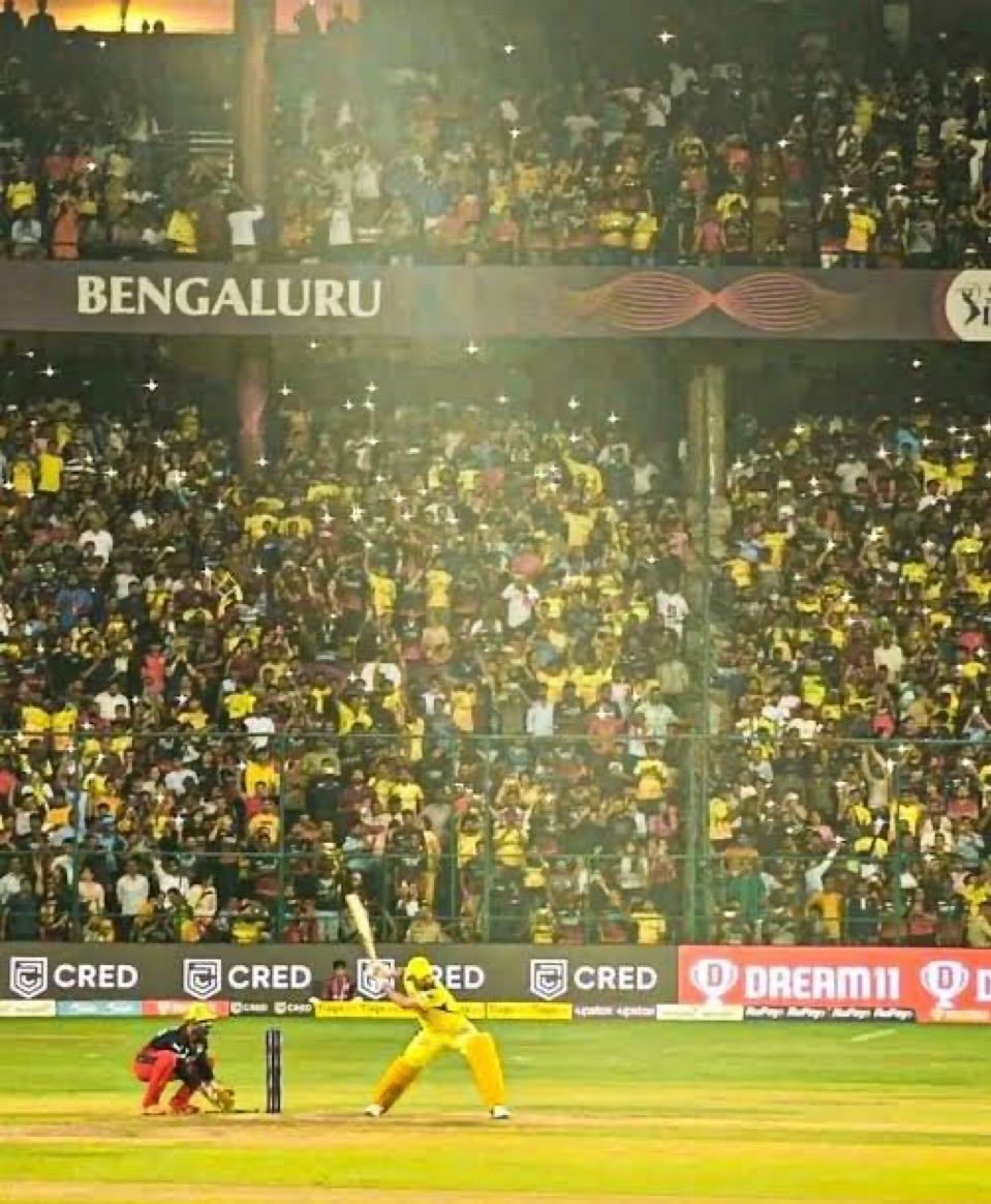 naaccountnaistm's tweet photo. Wherever he goes it will become his DEN

#MSD7 https://t.co/h6Paajy27i