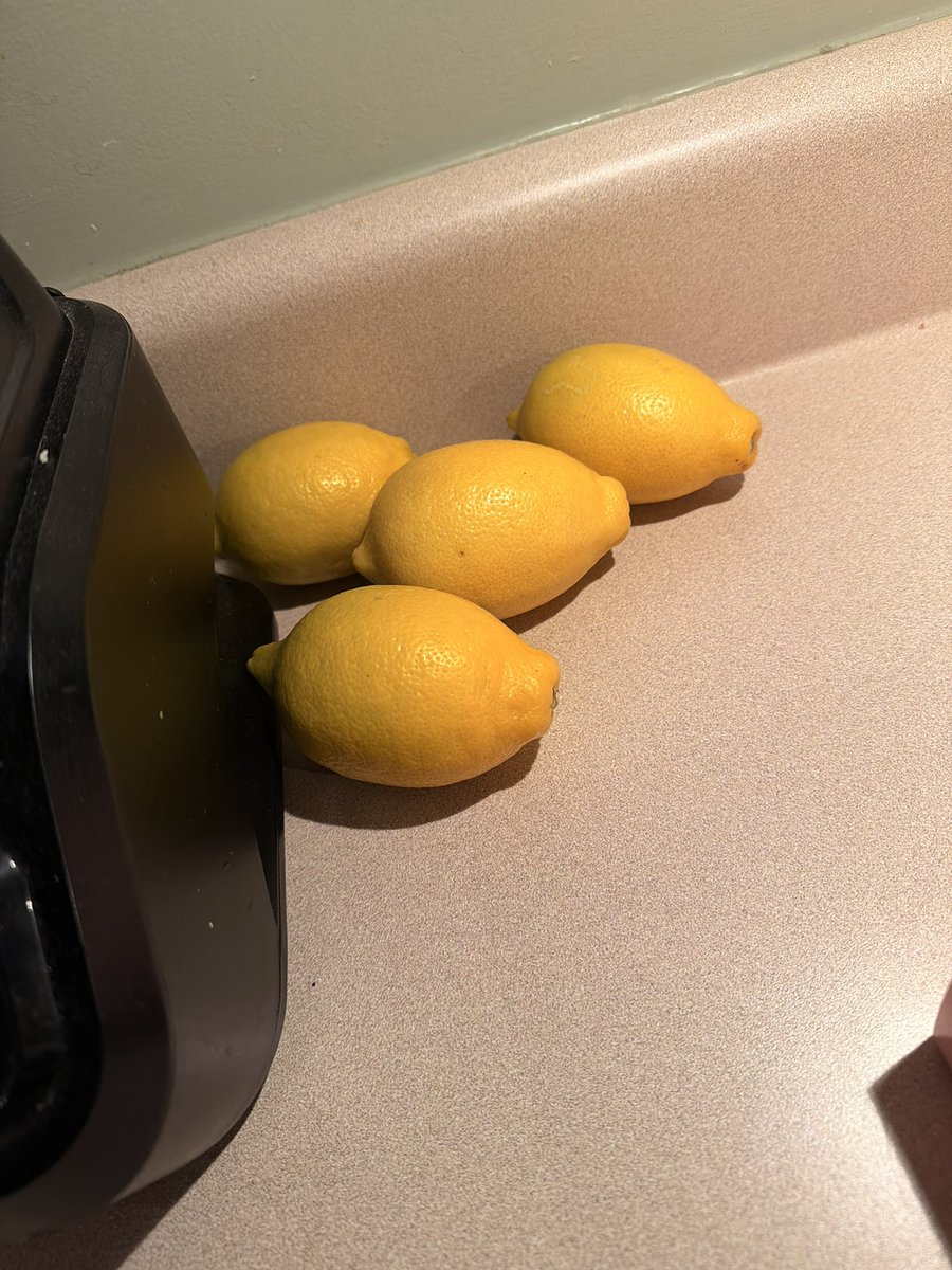 Found a couple lemons, anyone need for Scrappy?