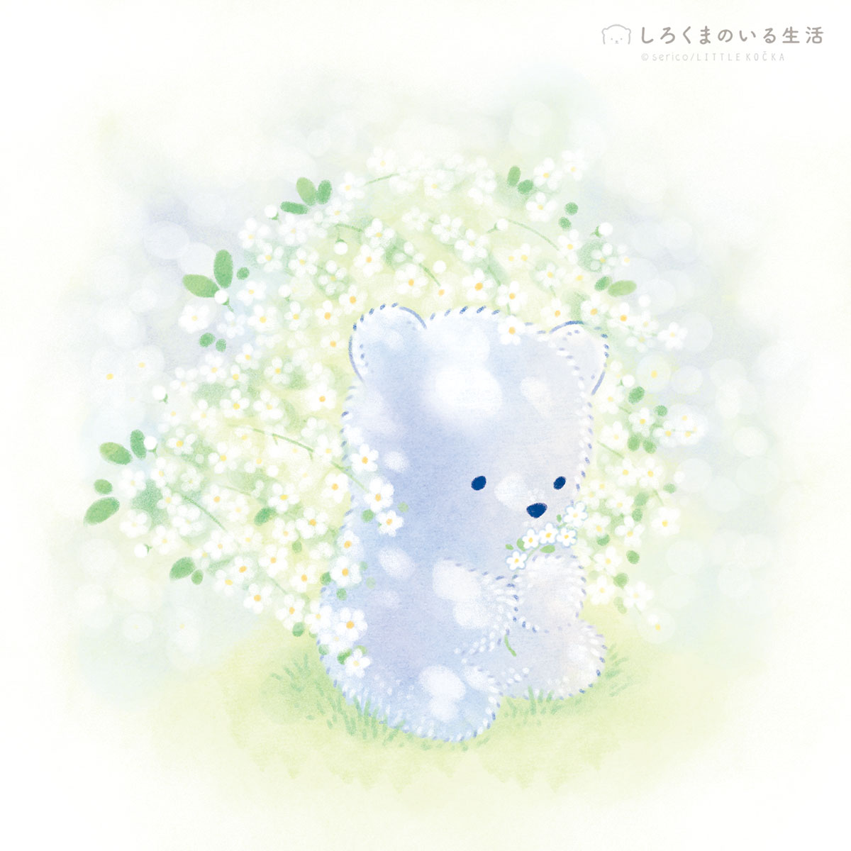 しろくまのいる生活🧸serico tweet media