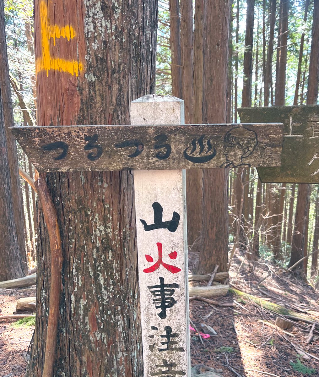 wildllama tweet media