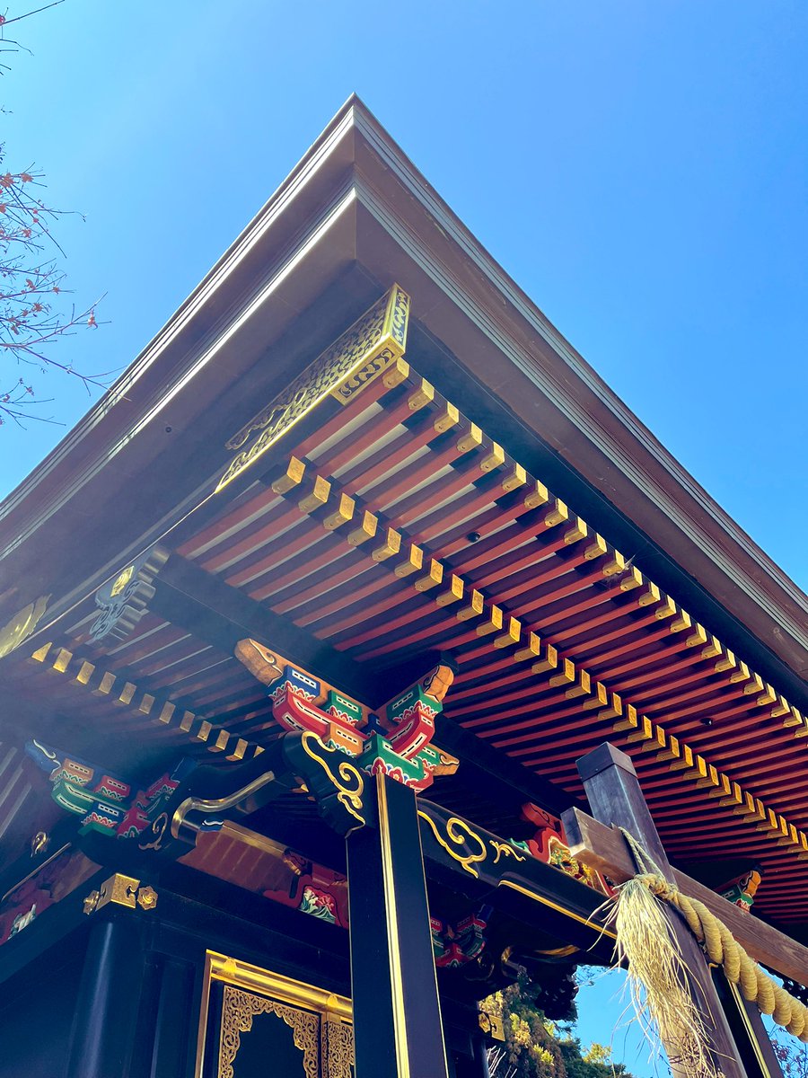 wildllama tweet media