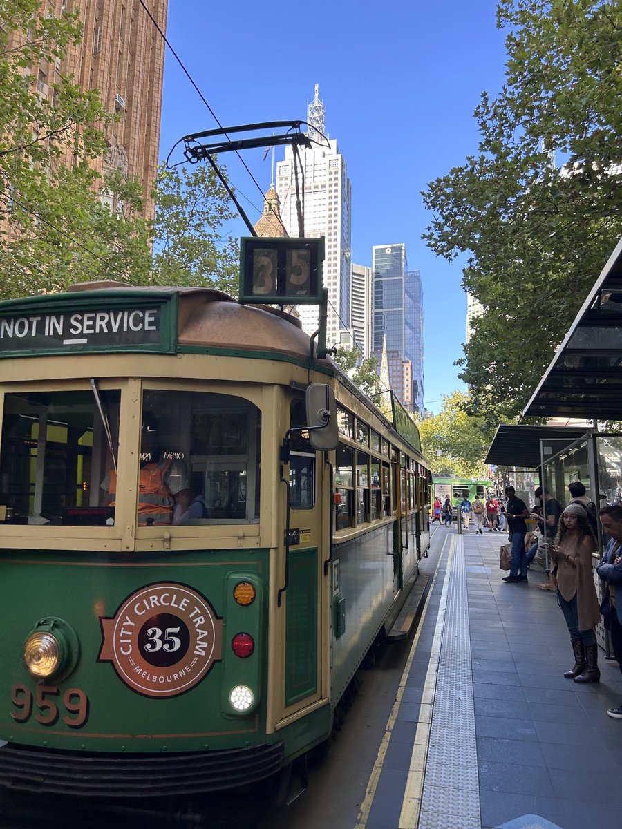 ham 🪴 tweet media