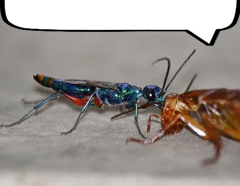 Пан Пан (dmytro) tweet media