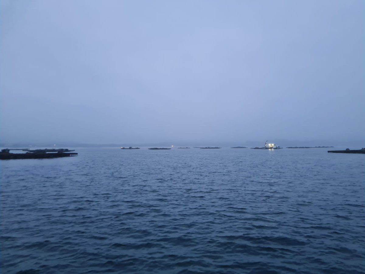 Mulleres Salgadas tweet media