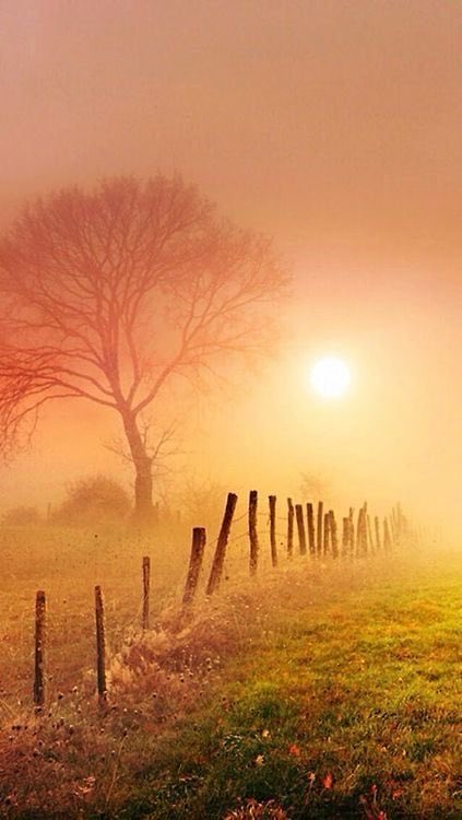 Alessandro ⚓️ NO DM tweet media