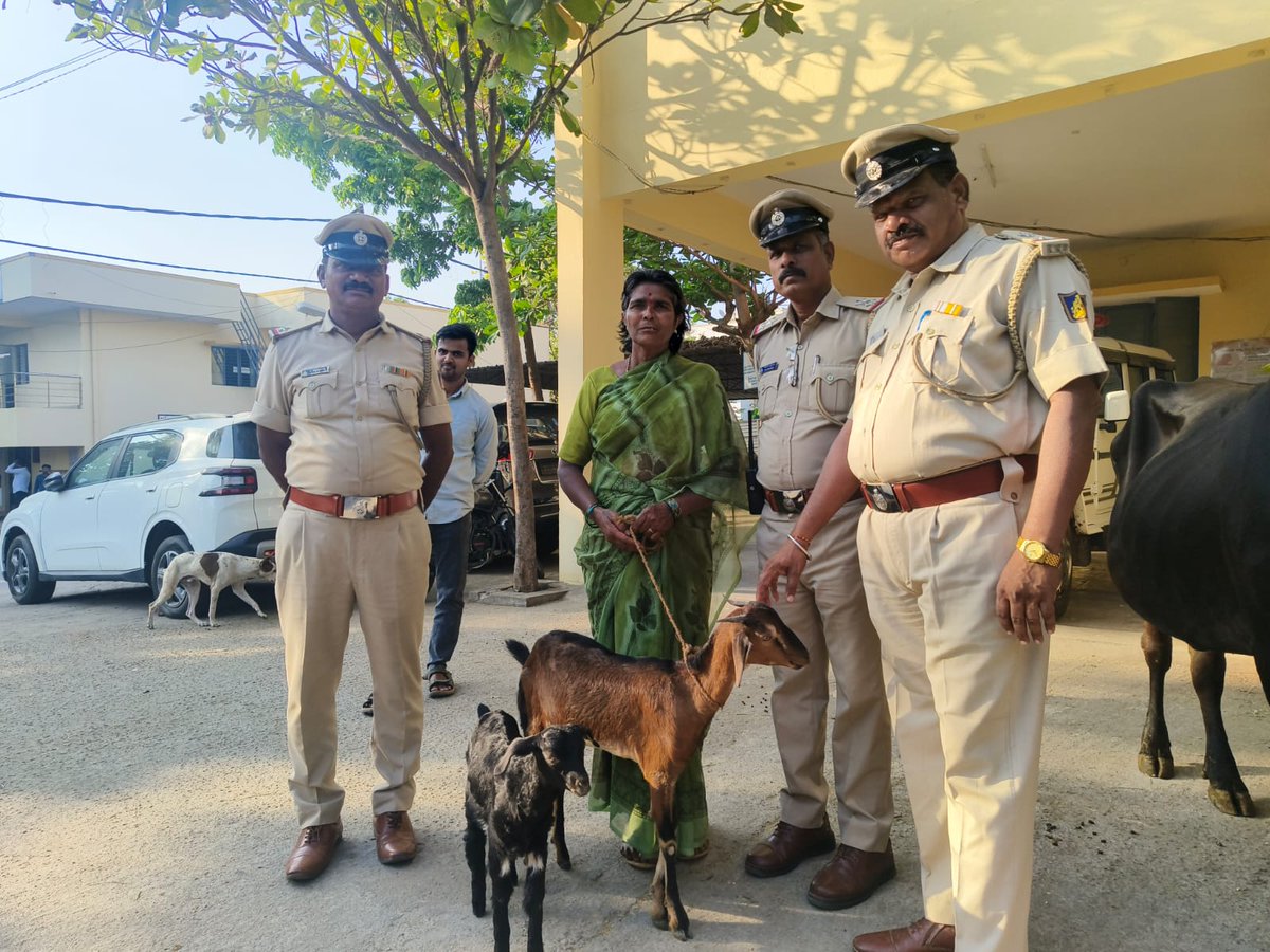 RmnRuralPS's tweet photo. ರಾಮನಗರ ತಾಲ್ಲೂಕು ಕೆಂಪೇಗೌಡನ ದೊಡ್ಡಿ ಗ್ರಾಮದ ಮನೆಯೊಂದರಲ್ಲಿ ಜೀವನೋಪಾಯಕ್ಕಾಗಿ ಸಾಕಲಾಗಿದ್ದ ಮೇಕೆಗಳನ್ನು ಕಳತನವಾಗಿದ್ದು, ರಾಮನಗರ ಗ್ರಾಮಾಂತರ ಪೊಲೀಸ್‌ ಠಾಣೆಯ ಅಧಿಕಾರಿ &amp; ಸಿಬ್ಬಂದಿಗಳು ಮೇಕೆಗಳನ್ನು ಪತ್ತೆ ಮಾಡಿ ವಾರಸುದಾರರಿಗೆ ಹಿಂದಿರುಗಿಸಿರುತ್ತಾರೆ. https://t.co/qd8Zo5PW1X