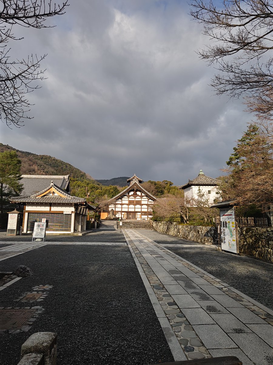 hitomihcx's tweet photo. Tenryu temple/天龍寺/2026.03.07
#Kyoto #京都 #arashiyama #嵐山
#TenryuTemple #天龍寺
#NearbyTemple #近所の寺
#WorldHeritage #世界遺産
#NearbyWorldHeritage #近所の世界遺産
#PlumBlossom #梅 https://t.co/pE4YW23Wqw