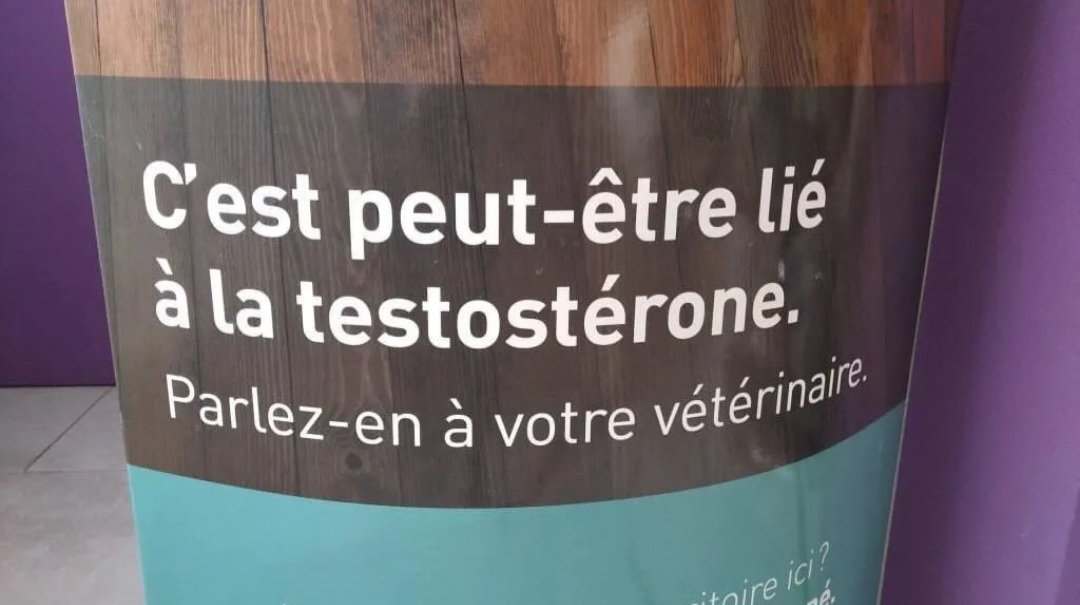 Lau.royor tweet media