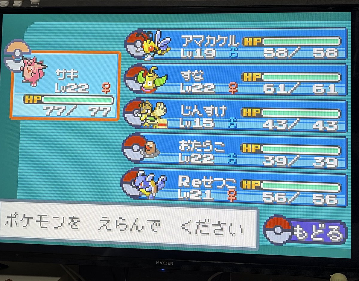 今ポケモンはまってて、レーマスが二の次に。
ニックネームはそん時パッと出てきたものを。