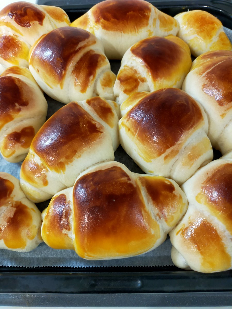 とまと_みん@マイクラ スキン 有償依頼 受付中 tweet media