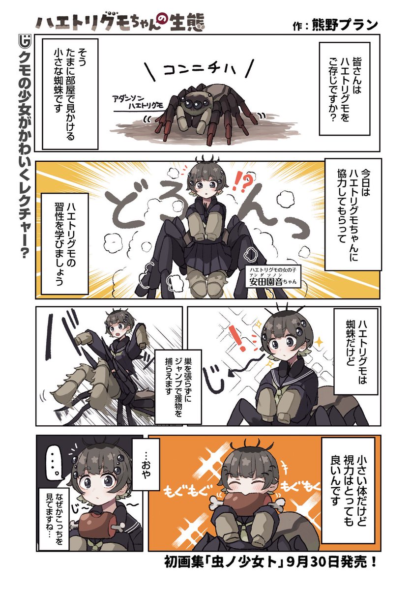 熊野プラン🐻 tweet media