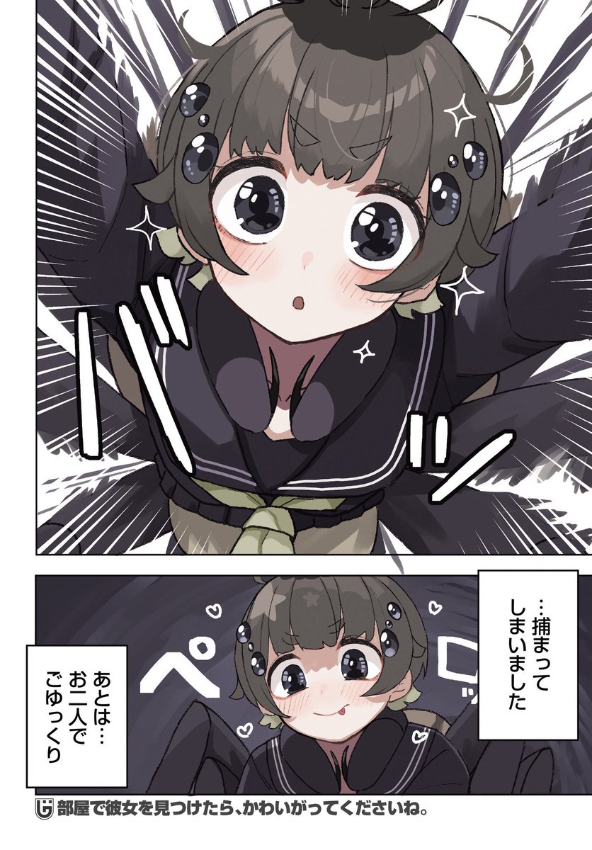 熊野プラン🐻 tweet media