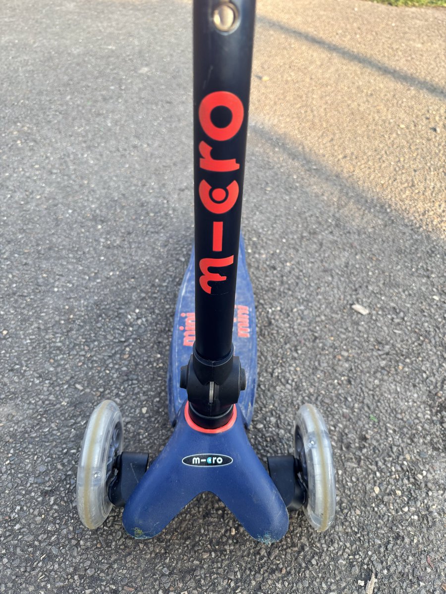 Lauren Hinves tweet media