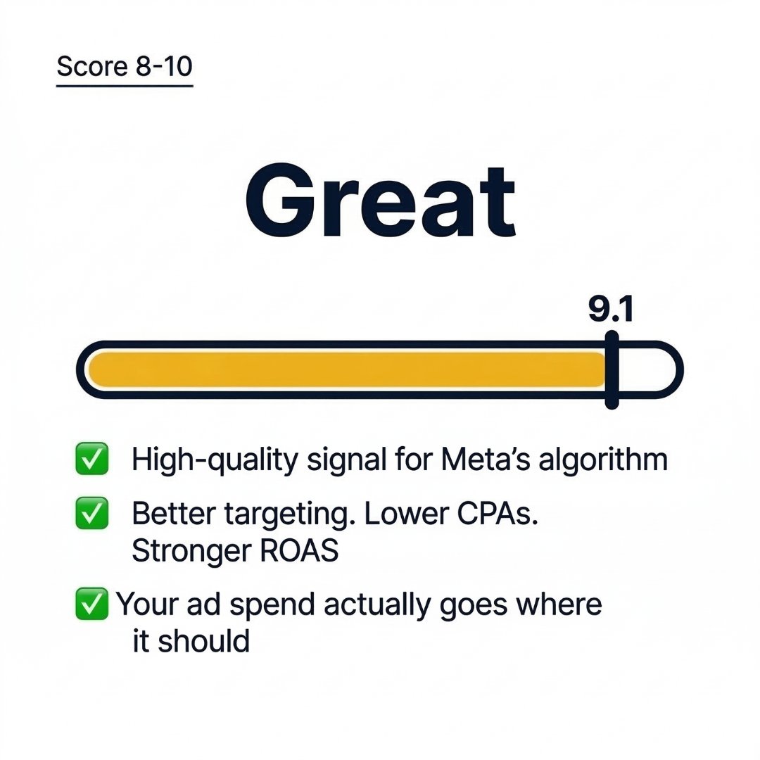 TrackBee 🐝 tweet media