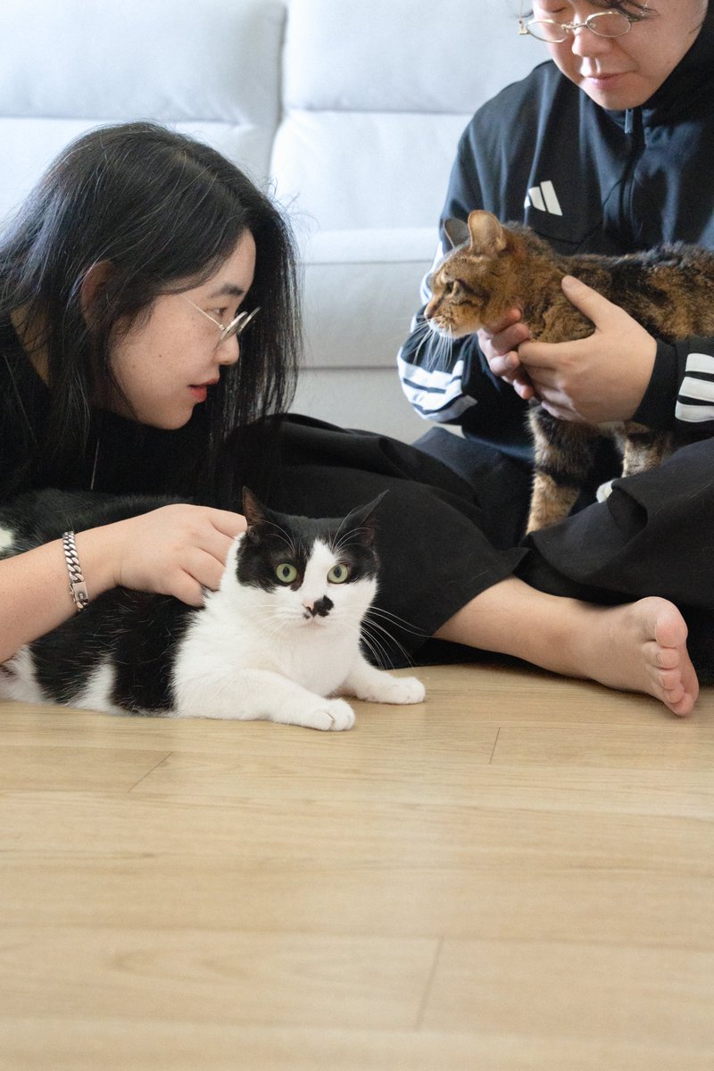 plusbban's tweet photo. 미친(p) 가족사진이 생겼습니다. 반려동물들과 가족사진 찍어보신분? 저희도 이번에 처음 찍어봤는데요. 
킴캣스냅은 사랑이에요.
우연히 이벤트에 당첨되어 찍게 됐는데 아 왜 진작 남겨두지 않았을까 후회될 정도로 좋은 기록이 되었습니다.
(타래에 호랭창문 독사진 있음) https://t.co/xJ2nuqzpLx