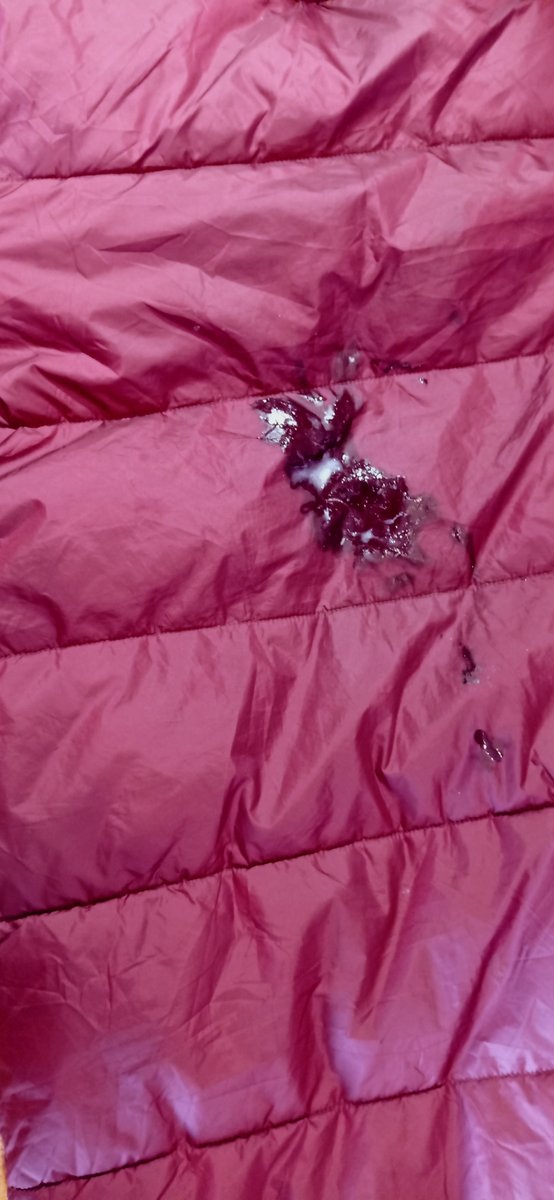 tek-berc tweet media