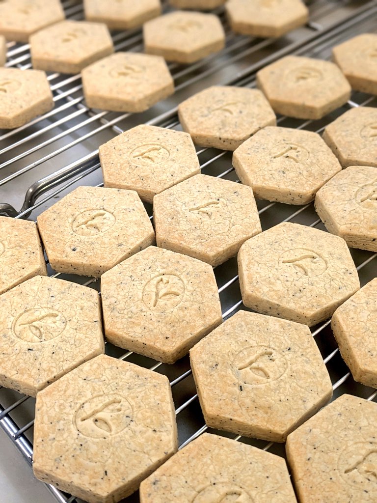 𝓮𝓵𝓯 🦢elf's Tearoom tweet media