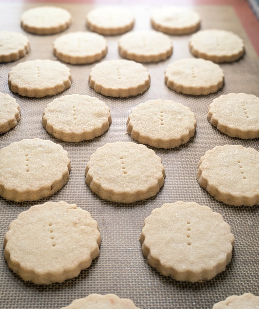 𝓮𝓵𝓯 🦢elf's Tearoom tweet media