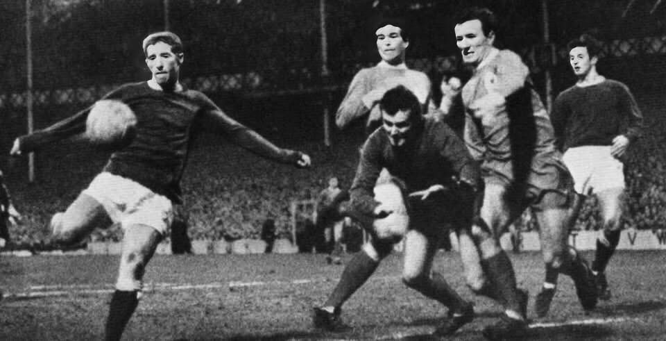 Bluekipper.com tweet media