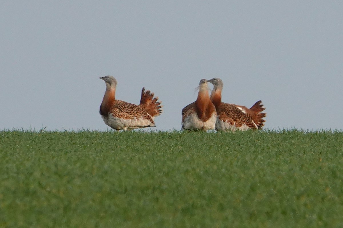 James Hunter tweet media