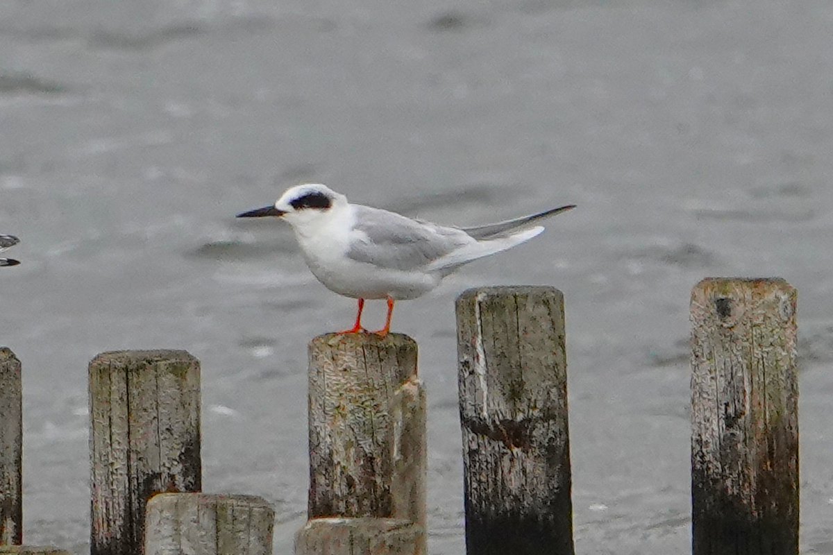 James Hunter tweet media