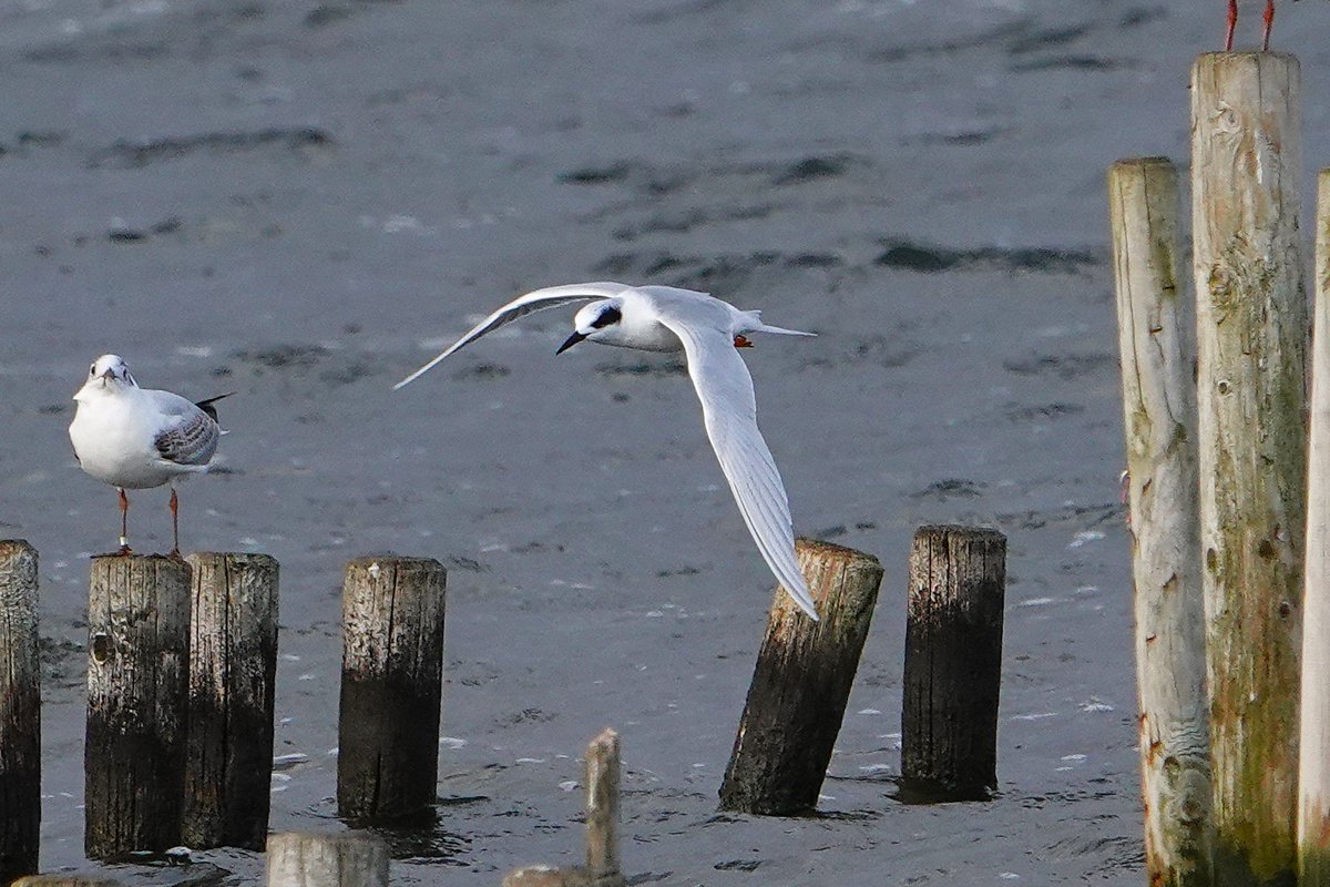 James Hunter tweet media