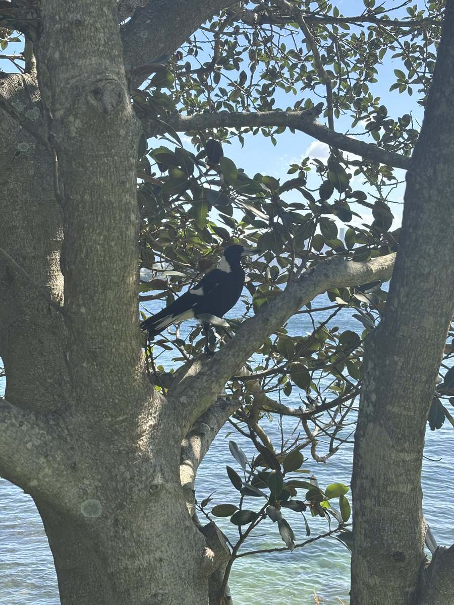 Matty Hayward tweet media