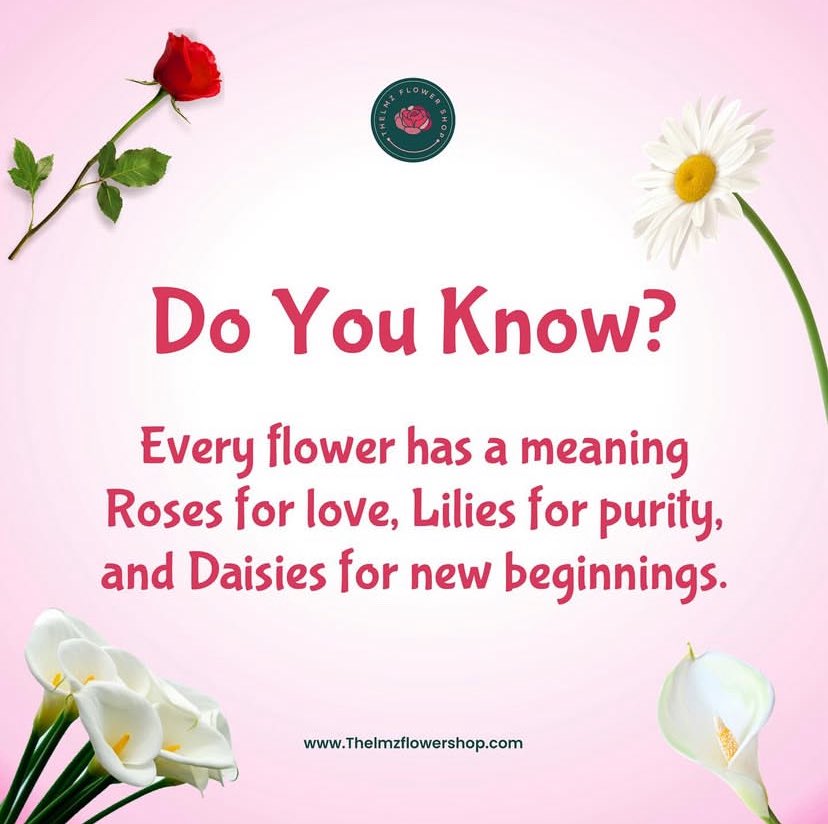 Thelmzflower's tweet image. Roses whisper love, lilies speak of purity, and daisies celebrate new beginnings. That’s the magic of flowers they say the words our hearts sometimes can’t. 

#thelmzflowershop #funfacts #knowyourflowers
#freshflowers #flowershopinlagos